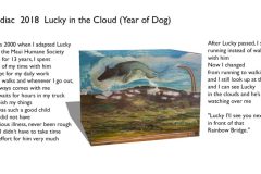 Lucky-in-the-Cloud 2018